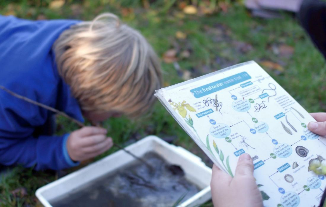 Brackenhurstponddipping