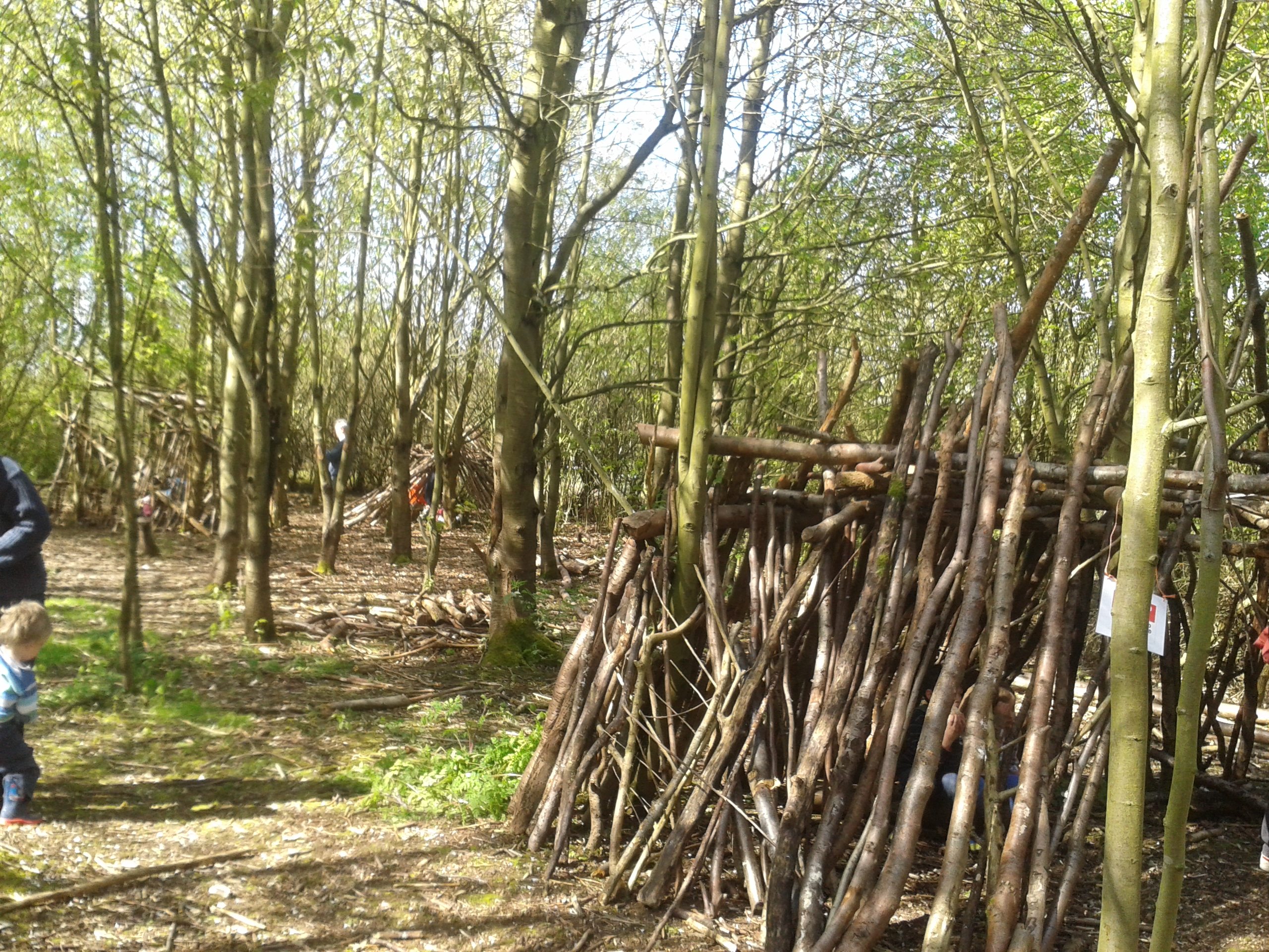 Rushcliffecountryparktrees