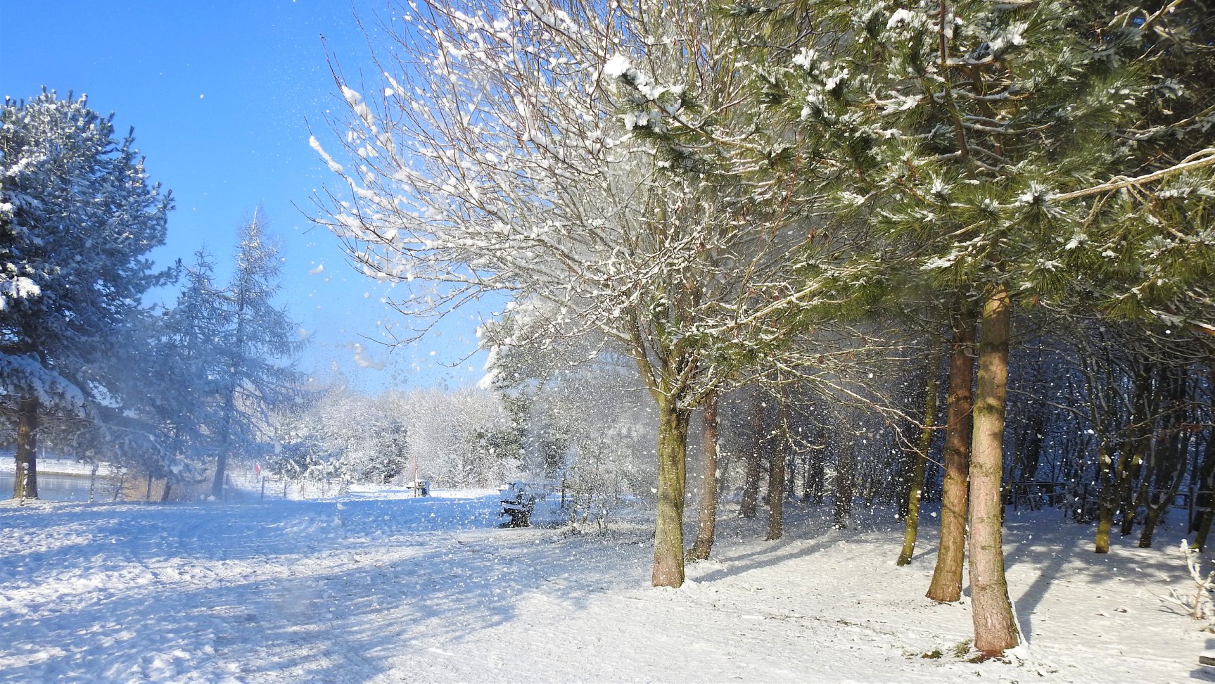 Rushcliffecountryparkwinter