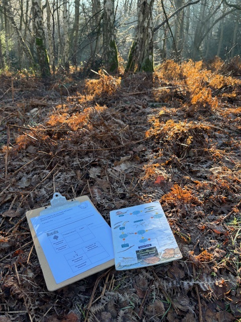 Bestwood Orienteering